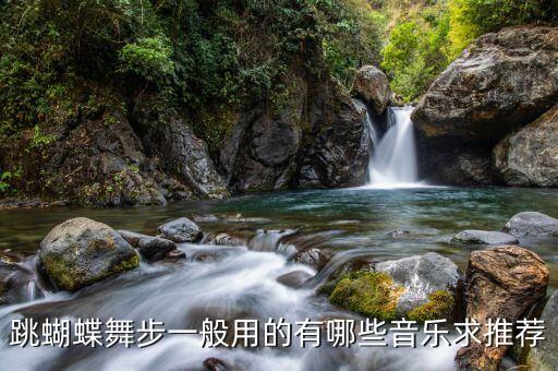 跳蝴蝶舞步一般用的有哪些音乐求推荐