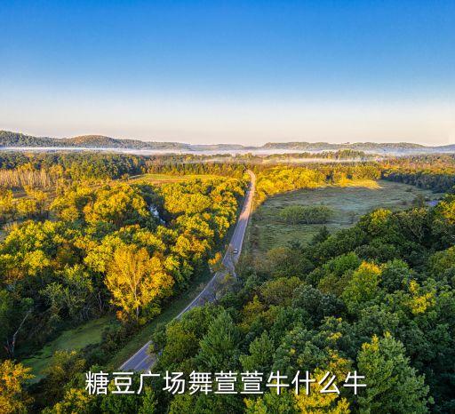 糖豆广场舞萱萱牛什么牛