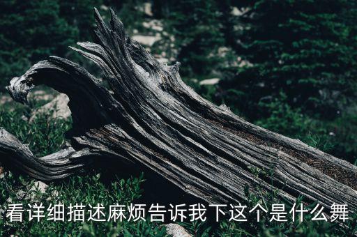 看详细描述麻烦告诉我下这个是什么舞