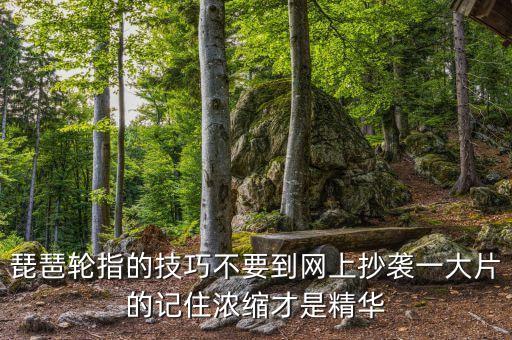 如何能练好轮指视频，如何有效练习琵琶轮指