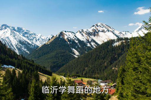 临沂学舞蹈的地方