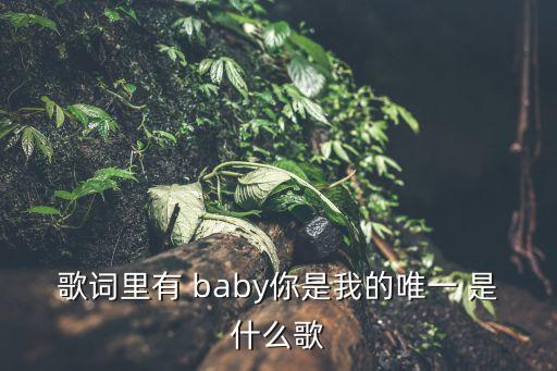 歌词里有 baby你是我的唯一 是什么歌