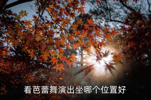 看芭蕾舞演出坐哪个位置好