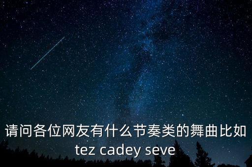 请问各位网友有什么节奏类的舞曲比如tez cadey seve