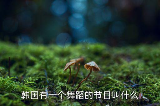 韩国有一个舞蹈的节目叫什么