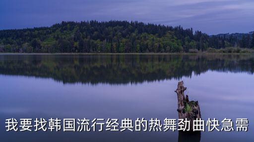 韩国热舞有哪些音乐，我要找韩国流行经典的热舞劲曲快急需