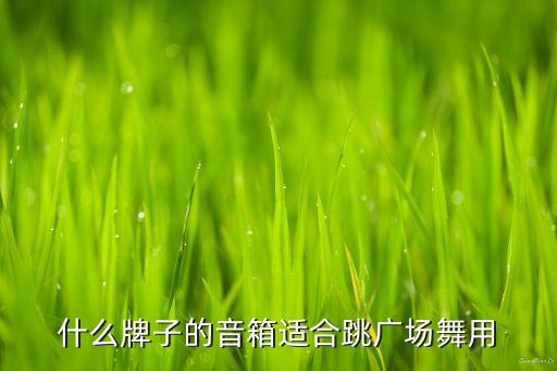 什么牌子的音箱适合跳广场舞用