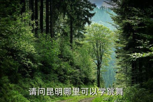 昆明成人学跳舞的地方有哪些，请问昆明哪里可以学跳舞