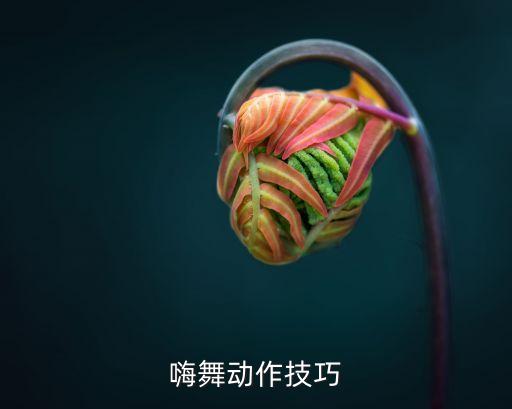 嗨舞动作技巧