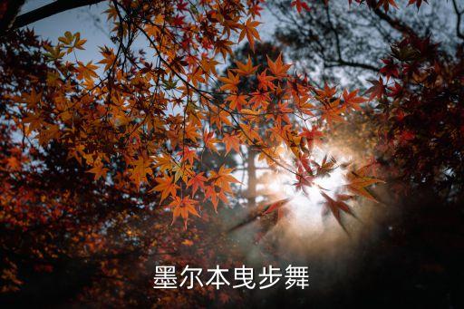 用腿脚跳舞是什么舞，像波浪舞 身体连腿部左右扭动的叫什么舞 迪吧经常可以看到的