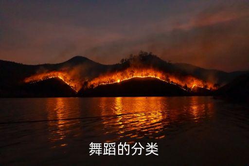舞剧的结构是什么意思，舞剧的定义是什么