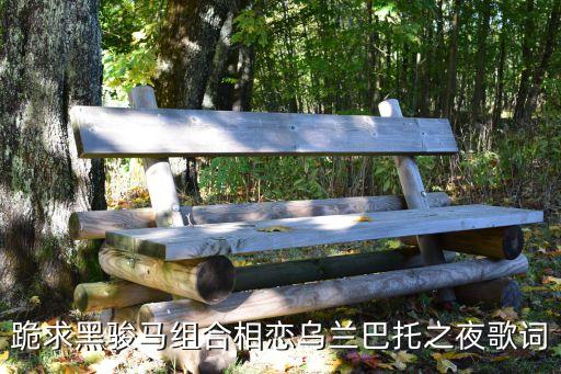 跪求黑骏马组合相恋乌兰巴托之夜歌词