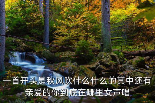 亲爰的你到底在哪里是什么歌，一首女唱的歌歌词大概有可是亲爱的你到底在哪里一个人太孤单
