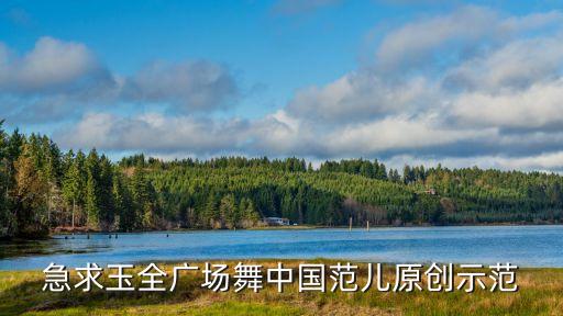 急求玉全广场舞中国范儿原创示范