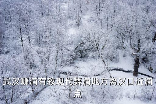 武汉哪滴有教现代舞滴地方离汉口近滴点