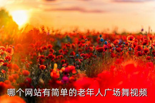 老年广场舞视频大全 简单，哪个网站有简单的老年人广场舞视频