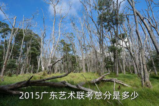 2015广东艺术联考总分是多少