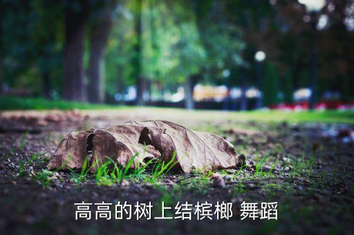 高高的树上结槟榔 舞蹈