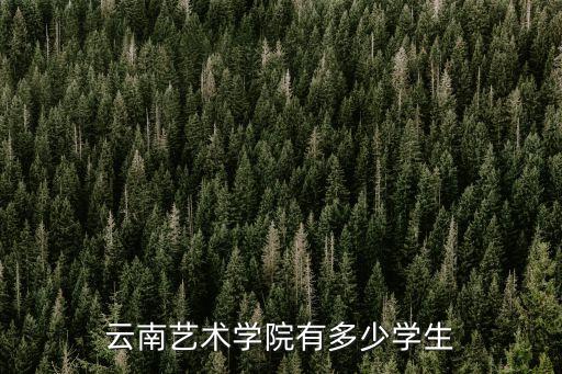 云南艺术学院有多少学生