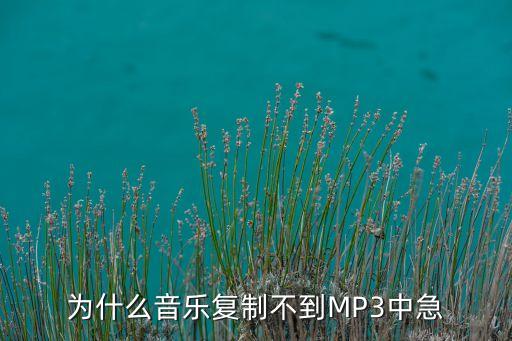 为什么音乐复制不到MP3中急