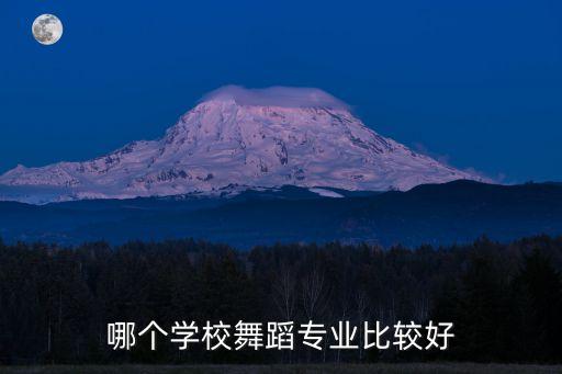 哪个学校舞蹈专业比较好