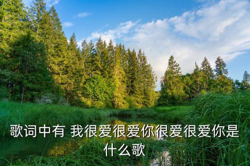 歌词中有 我很爱很爱你很爱很爱你是什么歌