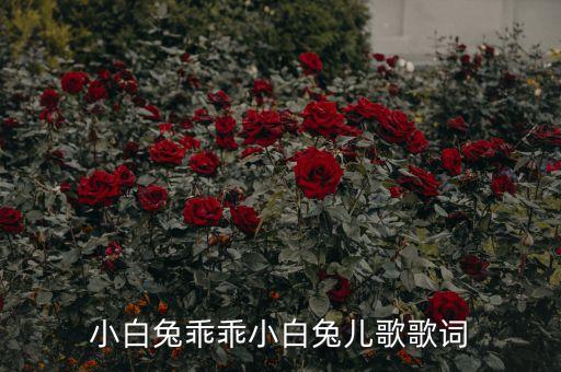 小白兔乖乖小白兔儿歌歌词