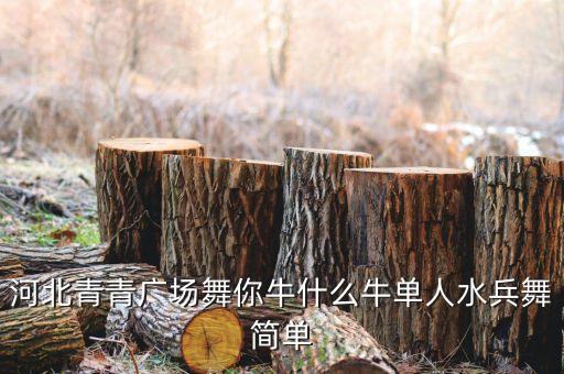 河北青青广场舞你牛什么牛单人水兵舞简单