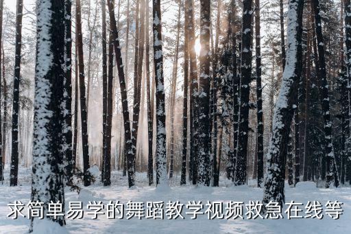 求简单易学的舞蹈教学视频救急在线等