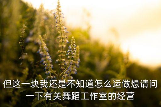 但这一块我还是不知道怎么运做想请问一下有关舞蹈工作室的经营