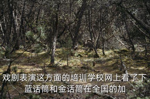 戏剧表演这方面的培训学校网上看了下蓝话筒和金话筒在全国的加