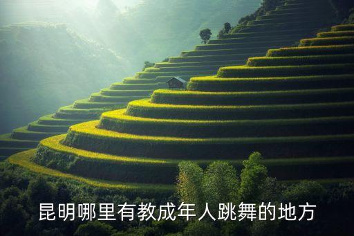昆明哪里有教成年人跳舞的地方