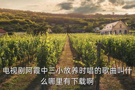 阿中中腰鼓舞鼓动天地舞曲怎么下载，电视剧阿霞中三小放养时唱的歌曲叫什么哪里有下载啊