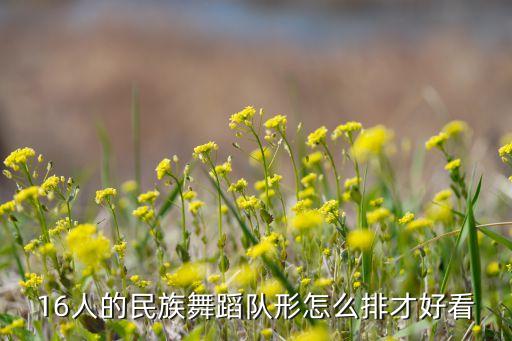 16人的民族舞蹈队形怎么排才好看