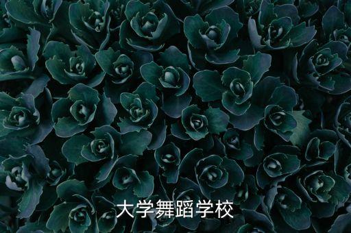 大学舞蹈学校