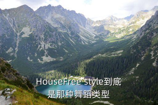 HouseFree style到底是那种舞蹈类型