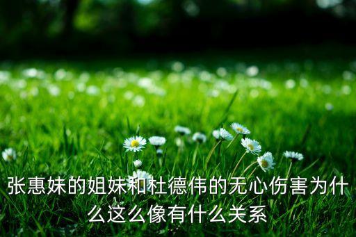 张惠妹的姐妹和杜德伟的无心伤害为什么这么像有什么关系