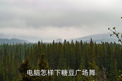 电脑怎样下糖豆广场舞