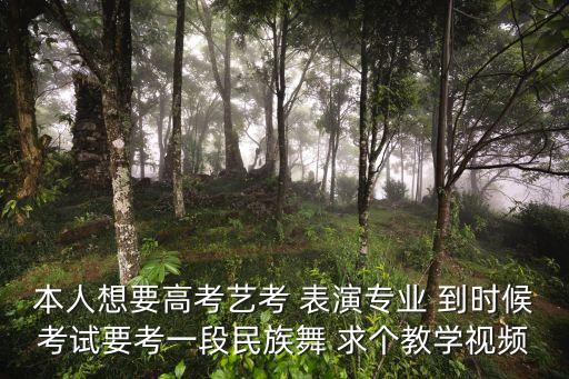 民族舞舞蹈教学视频教程大全，古典舞 欢快的民族舞 好学 好看 求推荐