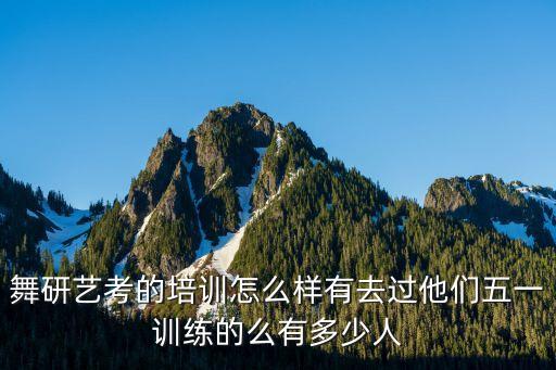 舞研艺考的培训怎么样有去过他们五一训练的么有多少人