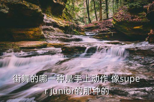 街舞的哪一种是手上动作 像super junior的那种的