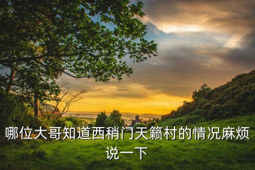 哪位大哥知道西稍门天籁村的情况麻烦说一下
