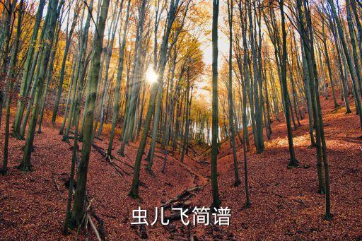 虫儿飞简谱