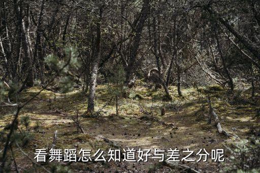 看舞蹈怎么知道好与差之分呢