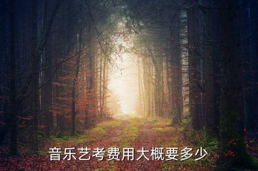 音乐艺考费用大概要多少