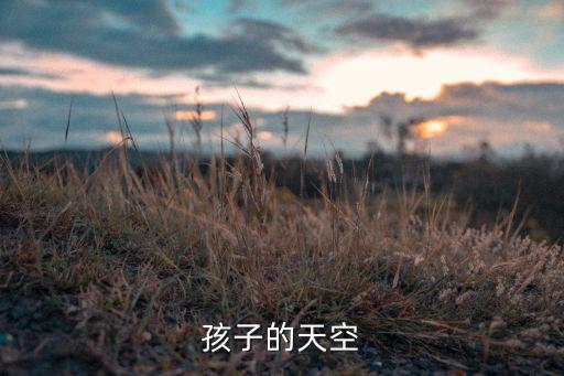 孩子的天空