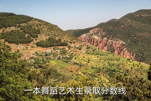 一本舞蹈艺术生录取分数线