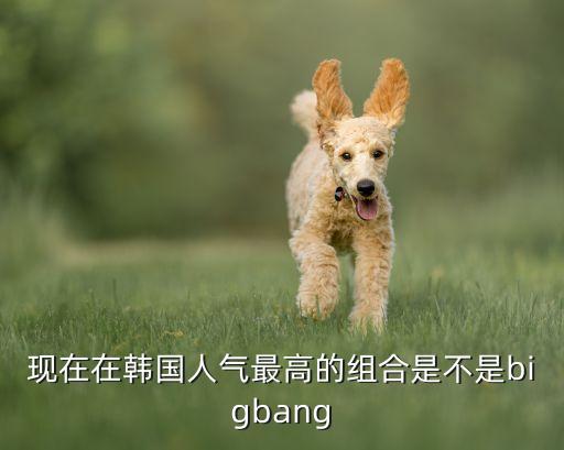 朝鲜舞节奏怎么数，桑巴舞是世界上节奏最快的舞蹈吗每分钟至少要多少个节拍