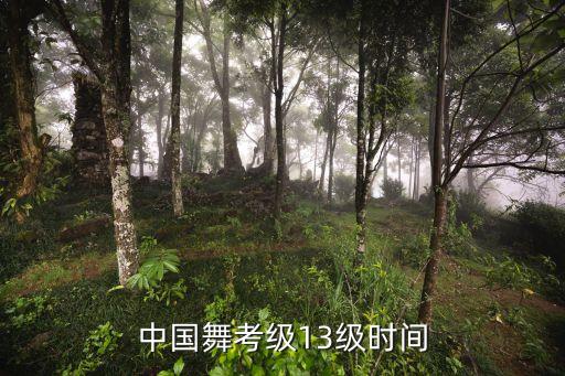 中国舞考级13级时间
