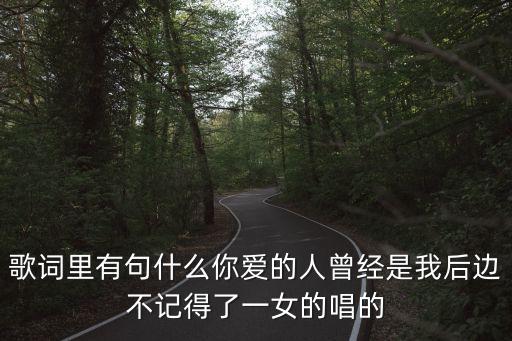 歌词里有句什么你爱的人曾经是我后边不记得了一女的唱的